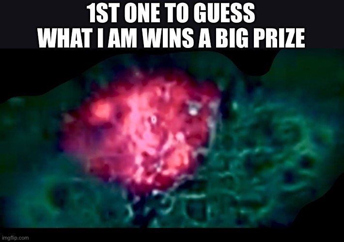 I bet nobody does | 1ST ONE TO GUESS WHAT I AM WINS A BIG PRIZE | image tagged in linkbay unsay | made w/ Imgflip meme maker