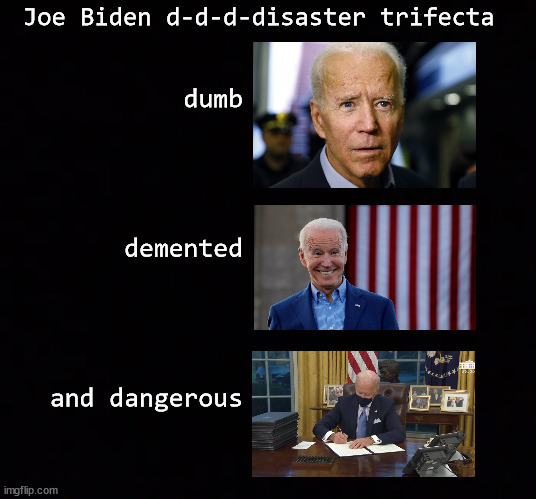 Joe Biden's d-d-d-disaster trifecta | Joe Biden d-d-d-disaster trifecta; dumb
 
 
 
  
 demented
 
 

 
 
and dangerous | image tagged in biden,dementia | made w/ Imgflip meme maker