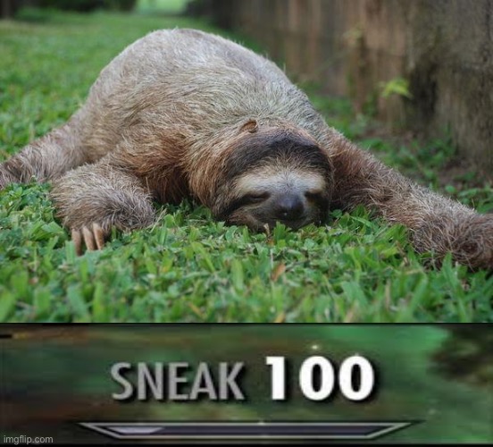 Sloth sneak 100 Blank Meme Template