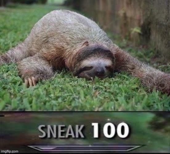 High Quality Sloth sneak 100 jpeg degrade Blank Meme Template