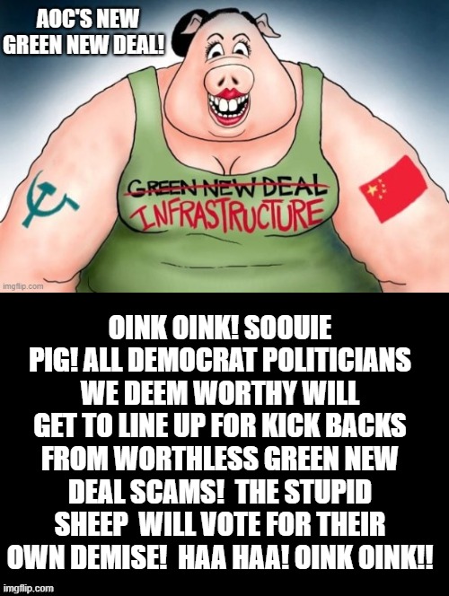 Oink Oink! Soouie Pig! All Democrat Politicians we deem worthy will get to line up for kick backs! | OINK OINK! SOOUIE PIG! ALL DEMOCRAT POLITICIANS WE DEEM WORTHY WILL GET TO LINE UP FOR KICK BACKS FROM WORTHLESS GREEN NEW DEAL SCAMS!  THE STUPID SHEEP  WILL VOTE FOR THEIR OWN DEMISE!  HAA HAA! OINK OINK!! | image tagged in stupid liberals,aoc,morons,idiots,stupid people,democrats | made w/ Imgflip meme maker