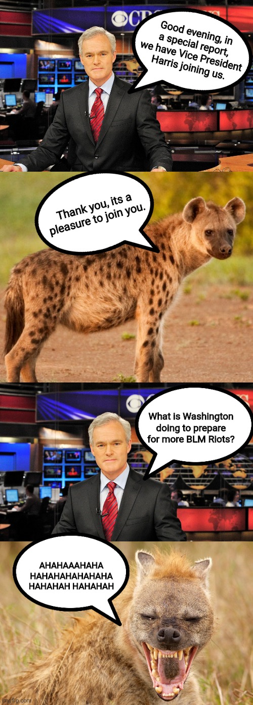 Harris is a just a Hyena | Good evening, in a special report, we have Vice President Harris joining us. Thank you, its a pleasure to join you. What is Washington doing to prepare for more BLM Riots? AHAHAAAHAHA
HAHAHAHAHAHAHA
HAHAHAH HAHAHAH | image tagged in news anchor,hyena,kamala harris | made w/ Imgflip meme maker