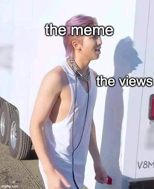 namjoons shadow | the meme; the views | image tagged in so true memes,rip,dang it,sucks,bts,meme | made w/ Imgflip meme maker