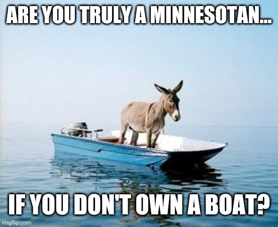 DONKEY ON A BOAT | ARE YOU TRULY A MINNESOTAN... IF YOU DON'T OWN A BOAT? | image tagged in donkey on a boat | made w/ Imgflip meme maker