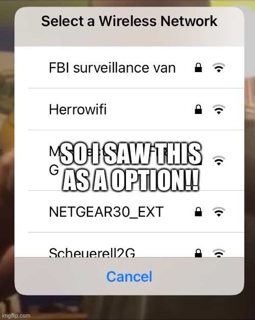 Wow, discreet WiFi name | SO I SAW THIS AS A OPTION!! | image tagged in fbi | made w/ Imgflip meme maker