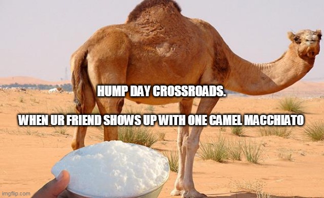 Hump Day Coffee | HUMP DAY CROSSROADS. WHEN UR FRIEND SHOWS UP WITH ONE CAMEL MACCHIATO | image tagged in hump day,coffee,wednesday | made w/ Imgflip meme maker