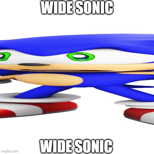 WIDE SONIC; WIDE SONIC | made w/ Imgflip meme maker