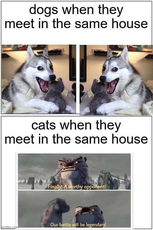 Blank Comic Panel 1x2 Meme | dogs when they meet in the same house; cats when they meet in the same house | image tagged in memes,blank comic panel 1x2,dogs,cats | made w/ Imgflip meme maker
