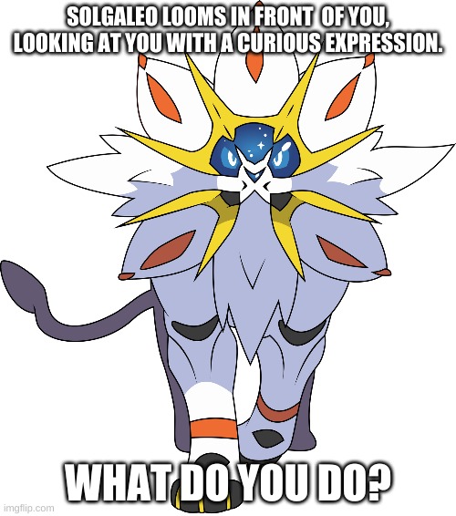 Solgaleo by Game Freak and the Pokemon Company | SOLGALEO LOOMS IN FRONT  OF YOU, LOOKING AT YOU WITH A CURIOUS EXPRESSION. WHAT DO YOU DO? | made w/ Imgflip meme maker