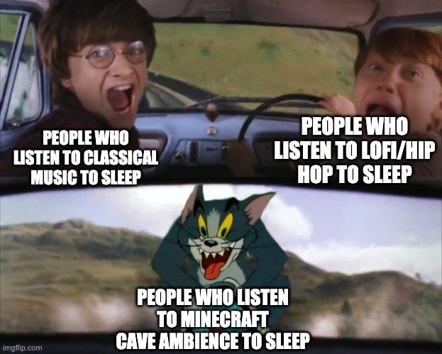 scary | PEOPLE WHO LISTEN TO LOFI/HIP HOP TO SLEEP; PEOPLE WHO LISTEN TO CLASSICAL MUSIC TO SLEEP; PEOPLE WHO LISTEN TO MINECRAFT CAVE AMBIENCE TO SLEEP | image tagged in tom chasing harry and ron weasly,minecraft,cave,sound | made w/ Imgflip meme maker