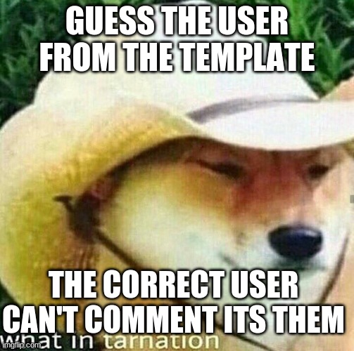 g u e s s i n g g a m e | GUESS THE USER FROM THE TEMPLATE; THE CORRECT USER CAN'T COMMENT ITS THEM | image tagged in what in tarnation dog | made w/ Imgflip meme maker