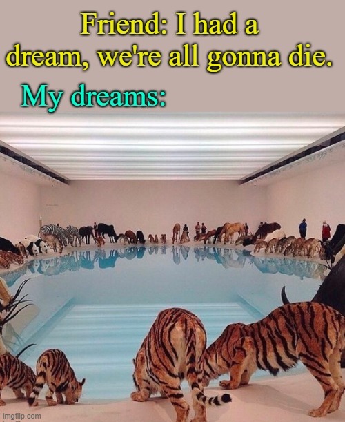 Dreams of an insomniac. | image tagged in memes,funny | made w/ Imgflip meme maker