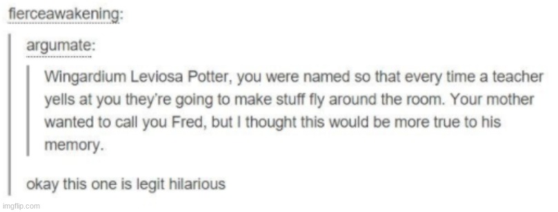I say it fits perfectly... | image tagged in harry potter | made w/ Imgflip meme maker