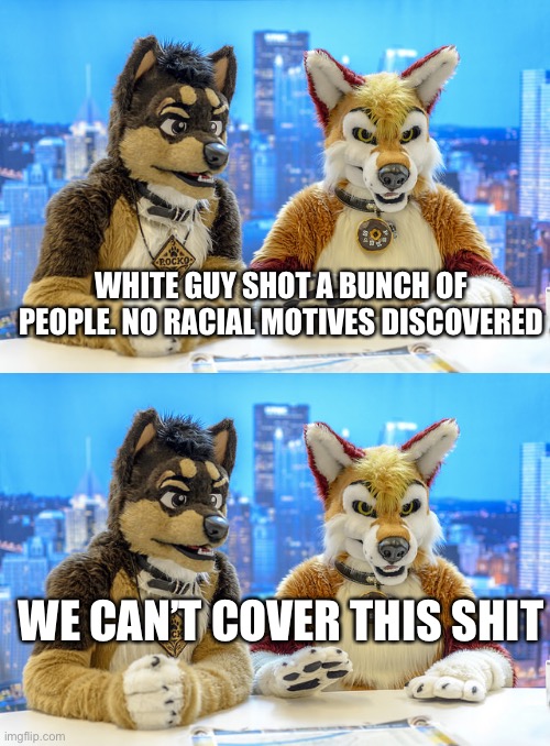 Media Sucks | WHITE GUY SHOT A BUNCH OF PEOPLE. NO RACIAL MOTIVES DISCOVERED; WE CAN’T COVER THIS SHIT | image tagged in furry news | made w/ Imgflip meme maker