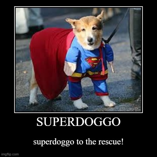 superdoggo | image tagged in funny,demotivationals,superdoggo,dog | made w/ Imgflip demotivational maker