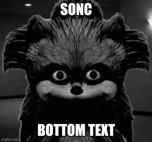 Sonc | SONC BOTTOM TEXT | image tagged in sonc | made w/ Imgflip meme maker