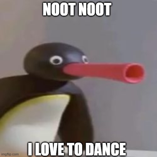 NOOT NOOT | NOOT NOOT I LOVE TO DANCE | image tagged in noot noot | made w/ Imgflip meme maker
