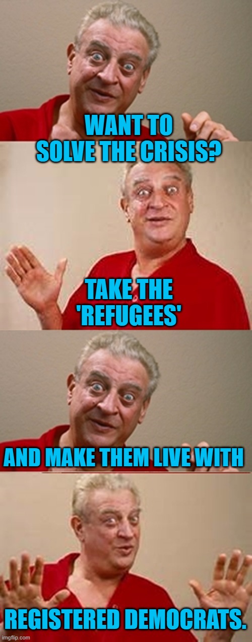 The libs would feed & house these immigrants because they're so woke. | WANT TO SOLVE THE CRISIS? TAKE THE 'REFUGEES'; AND MAKE THEM LIVE WITH; REGISTERED DEMOCRATS. | image tagged in bad pun rodney dangerfield | made w/ Imgflip meme maker