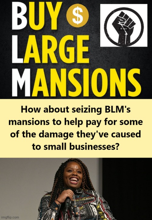 Buy Luxury MANSIONS BLM scam | image tagged in first world problems | made w/ Imgflip meme maker