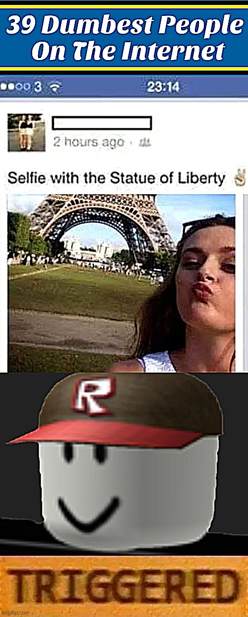 w h y | image tagged in bruh-,roblox triggered | made w/ Imgflip meme maker