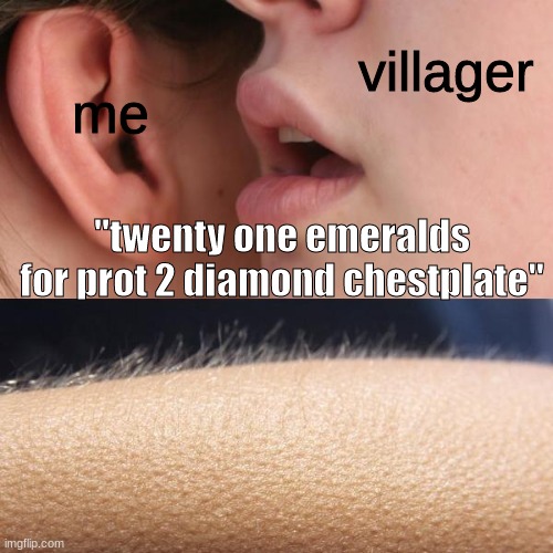 YES | villager; me; "twenty one emeralds for prot 2 diamond chestplate" | image tagged in whisper and goosebumps,minecraft villagers,diamonds,armor,lets go,huh | made w/ Imgflip meme maker