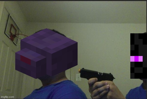 great for enderman farms though | image tagged in trust nobody not even yourself,minecraft,enderman,endermite,gaming | made w/ Imgflip meme maker