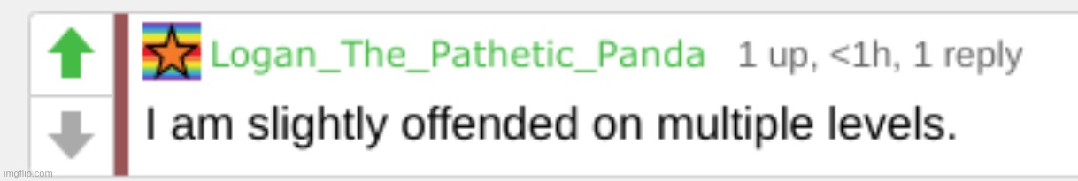 I am slightly offended on multiple levels | image tagged in i am slightly offended on multiple levels | made w/ Imgflip meme maker