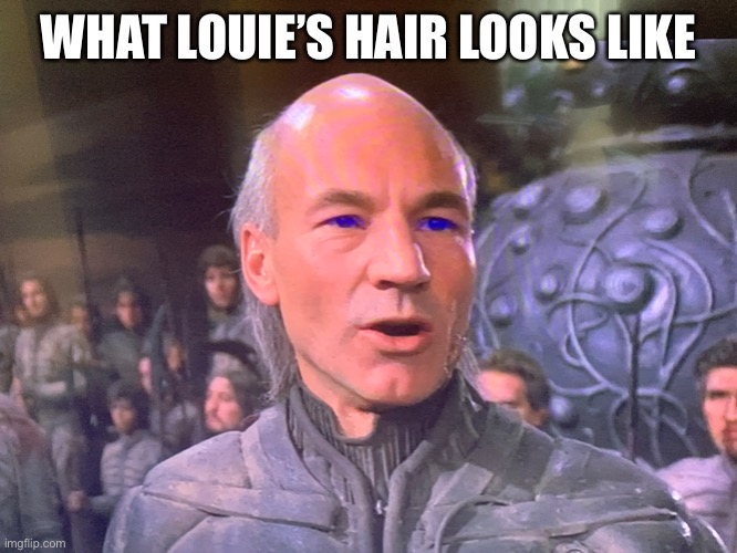 Hair guys | WHAT LOUIE’S HAIR LOOKS LIKE | image tagged in hair | made w/ Imgflip meme maker