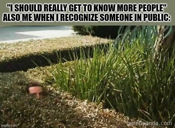 "I SHOULD REALLY GET TO KNOW MORE PEOPLE"
ALSO ME WHEN I RECOGNIZE SOMEONE IN PUBLIC: | made w/ Imgflip meme maker