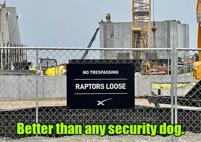 Even their owners can't pet them. | Better than any security dog. | image tagged in security,funny | made w/ Imgflip meme maker