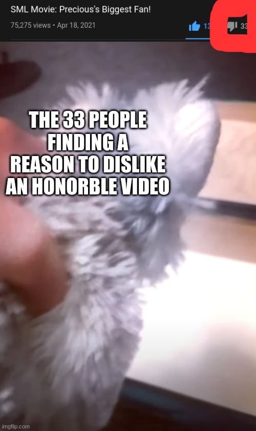 May she rest in peace | THE 33 PEOPLE FINDING A REASON TO DISLIKE AN HONORBLE VIDEO | image tagged in ooh look nothing,sml | made w/ Imgflip meme maker