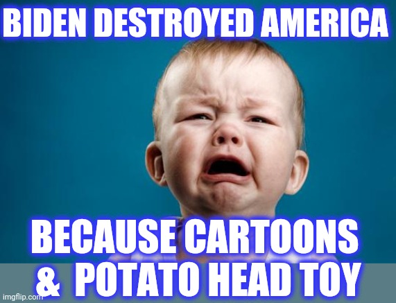 BABY CRYING | BIDEN DESTROYED AMERICA BECAUSE CARTOONS 
&  POTATO HEAD TOY | image tagged in baby crying | made w/ Imgflip meme maker