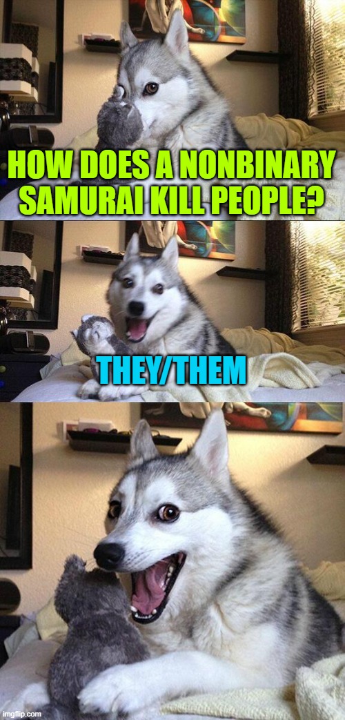 they/them | HOW DOES A NONBINARY SAMURAI KILL PEOPLE? THEY/THEM | image tagged in memes,bad pun dog | made w/ Imgflip meme maker