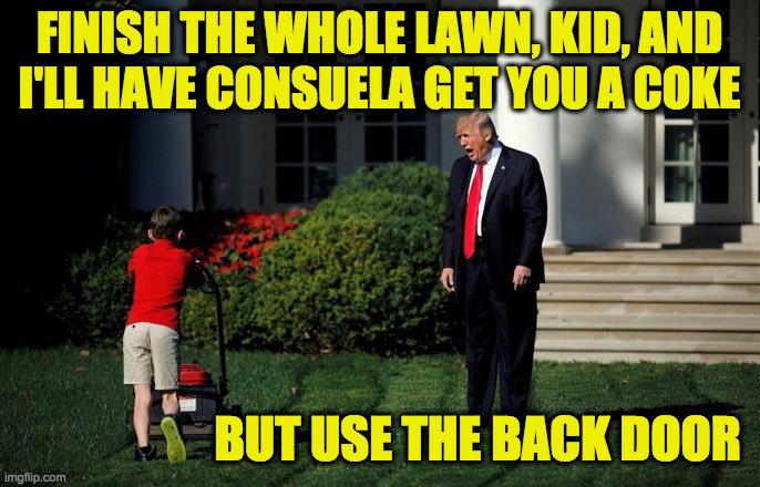 Trump Lawn Mower | FINISH THE WHOLE LAWN, KID, AND
I'LL HAVE CONSUELA GET YOU A COKE BUT USE THE BACK DOOR | image tagged in trump lawn mower | made w/ Imgflip meme maker