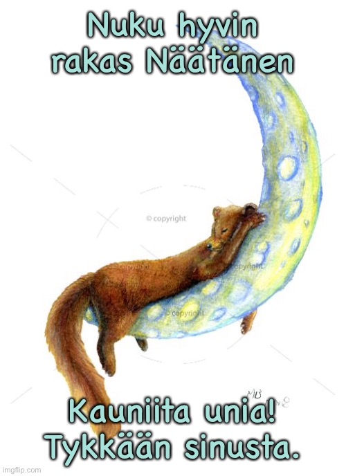 Nuku hyvin
rakas Näätänen; Kauniita unia!
Tykkään sinusta. | made w/ Imgflip meme maker