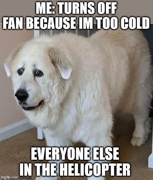 scared dog | ME: TURNS OFF FAN BECAUSE IM TOO COLD; EVERYONE ELSE IN THE HELICOPTER | image tagged in scared dog | made w/ Imgflip meme maker