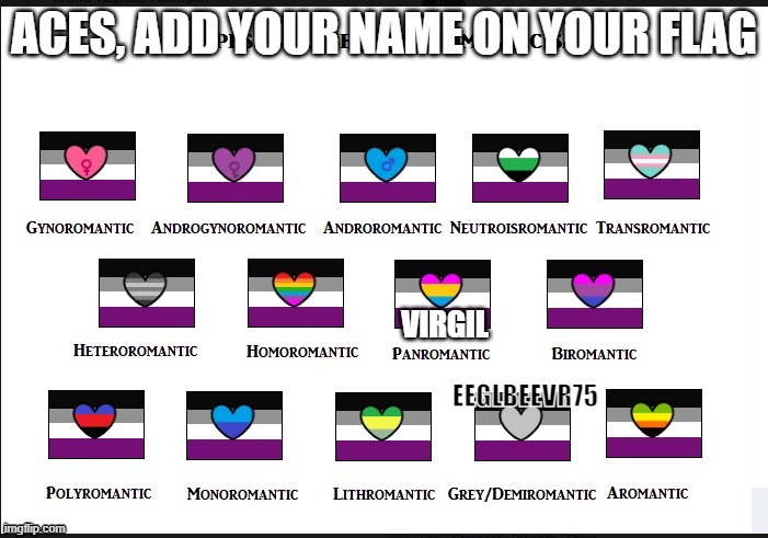 Virgil is one of my alters, Who is Pan Ace xD | VIRGIL | image tagged in lgbt,alter,challenge,asexual,panromantic | made w/ Imgflip meme maker