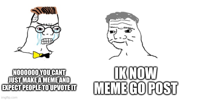 dont upvote this | NOOOOOO YOU CANT JUST MAKE A MEME AND EXPECT PEOPLE TO UPVOTE IT; IK NOW MEME GO POST | image tagged in nooo haha go brrr | made w/ Imgflip meme maker