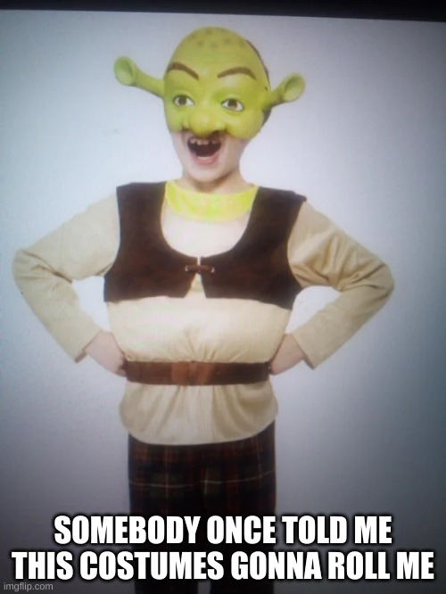 oh god | SOMEBODY ONCE TOLD ME THIS COSTUMES GONNA ROLL ME | image tagged in memes,shrek,cursed image,costumes | made w/ Imgflip meme maker