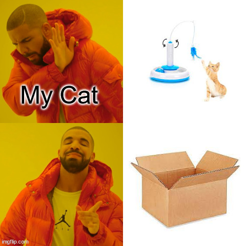 Buying my cat expensive toys be like... | My Cat | image tagged in memes,drake hotline bling | made w/ Imgflip meme maker