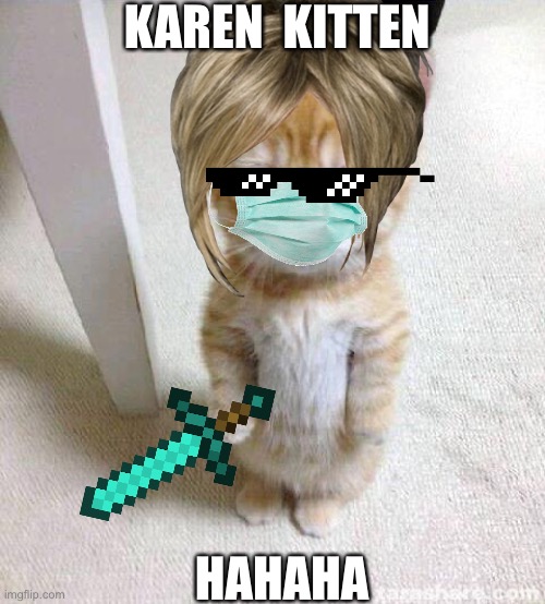 Cute Cat Meme | KAREN  KITTEN; HAHAHA | image tagged in memes,cute cat | made w/ Imgflip meme maker
