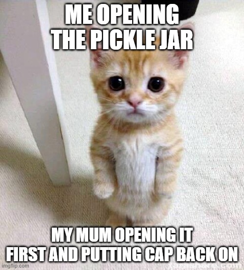 its always the jar... | ME OPENING THE PICKLE JAR; MY MUM OPENING IT FIRST AND PUTTING CAP BACK ON | image tagged in memes,cute cat | made w/ Imgflip meme maker