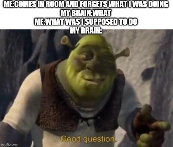 noooo | ME:COMES IN ROOM AND FORGETS WHAT I WAS DOING
MY BRAIN:WHAT
ME:WHAT WAS I SUPPOSED TO DO
MY BRAIN: | image tagged in shrek good question | made w/ Imgflip meme maker