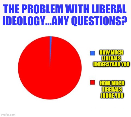 If you don't understand this...you are probably a liberal. | THE PROBLEM WITH LIBERAL IDEOLOGY...ANY QUESTIONS? HOW MUCH LIBERALS UNDERSTAND YOU; HOW MUCH LIBERALS JUDGE YOU | image tagged in circle graph,liberal logic,truth | made w/ Imgflip meme maker