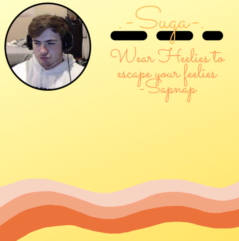 High Quality Sapnap t e m p Blank Meme Template