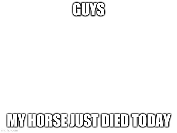 Blank White Template | GUYS; MY HORSE JUST DIED TODAY | image tagged in blank white template | made w/ Imgflip meme maker