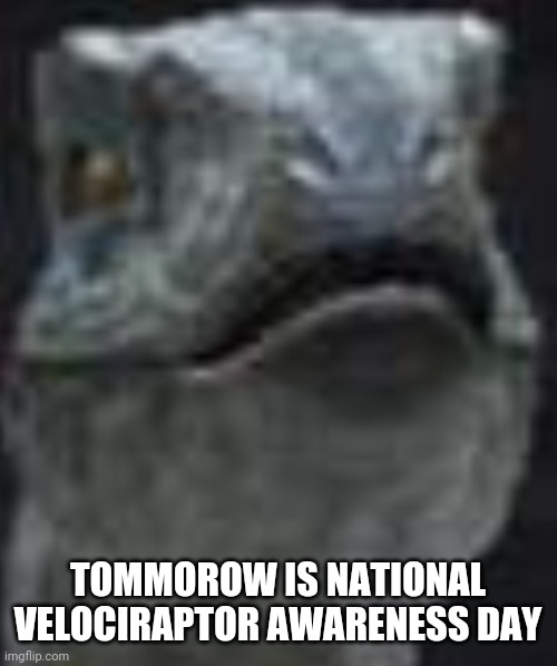 TOMMOROW IS NATIONAL VELOCIRAPTOR AWARENESS DAY | made w/ Imgflip meme maker