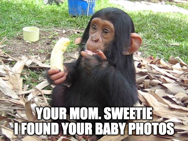 your mom. sweetie i found your baby photos | YOUR MOM. SWEETIE I FOUND YOUR BABY PHOTOS | image tagged in monkey puppet | made w/ Imgflip meme maker