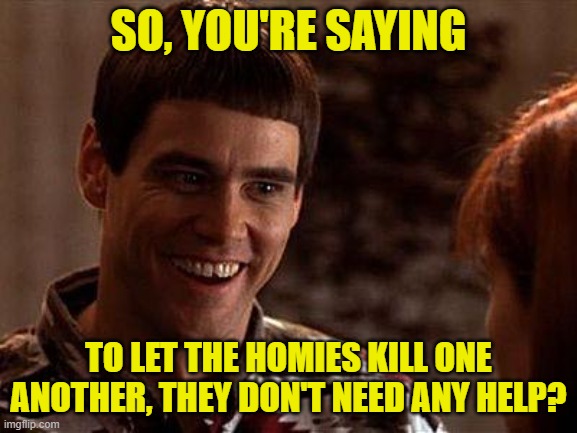 Dumb And Dumber | SO, YOU'RE SAYING TO LET THE HOMIES KILL ONE ANOTHER, THEY DON'T NEED ANY HELP? | image tagged in dumb and dumber | made w/ Imgflip meme maker