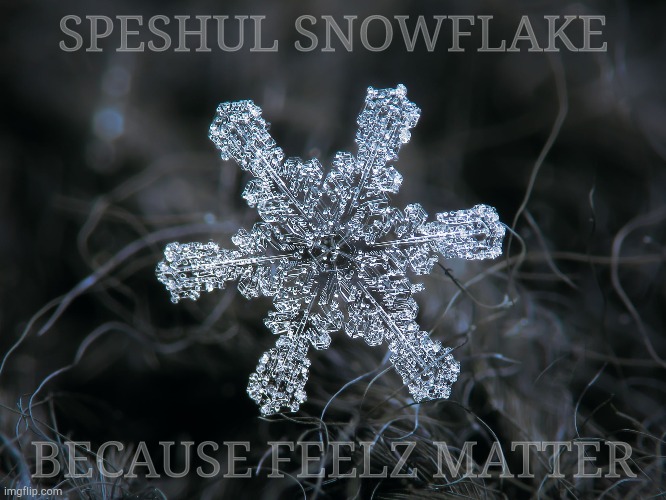 SPESHUL SNOWFLAKE BECAUSE FEELZ MATTER | made w/ Imgflip meme maker
